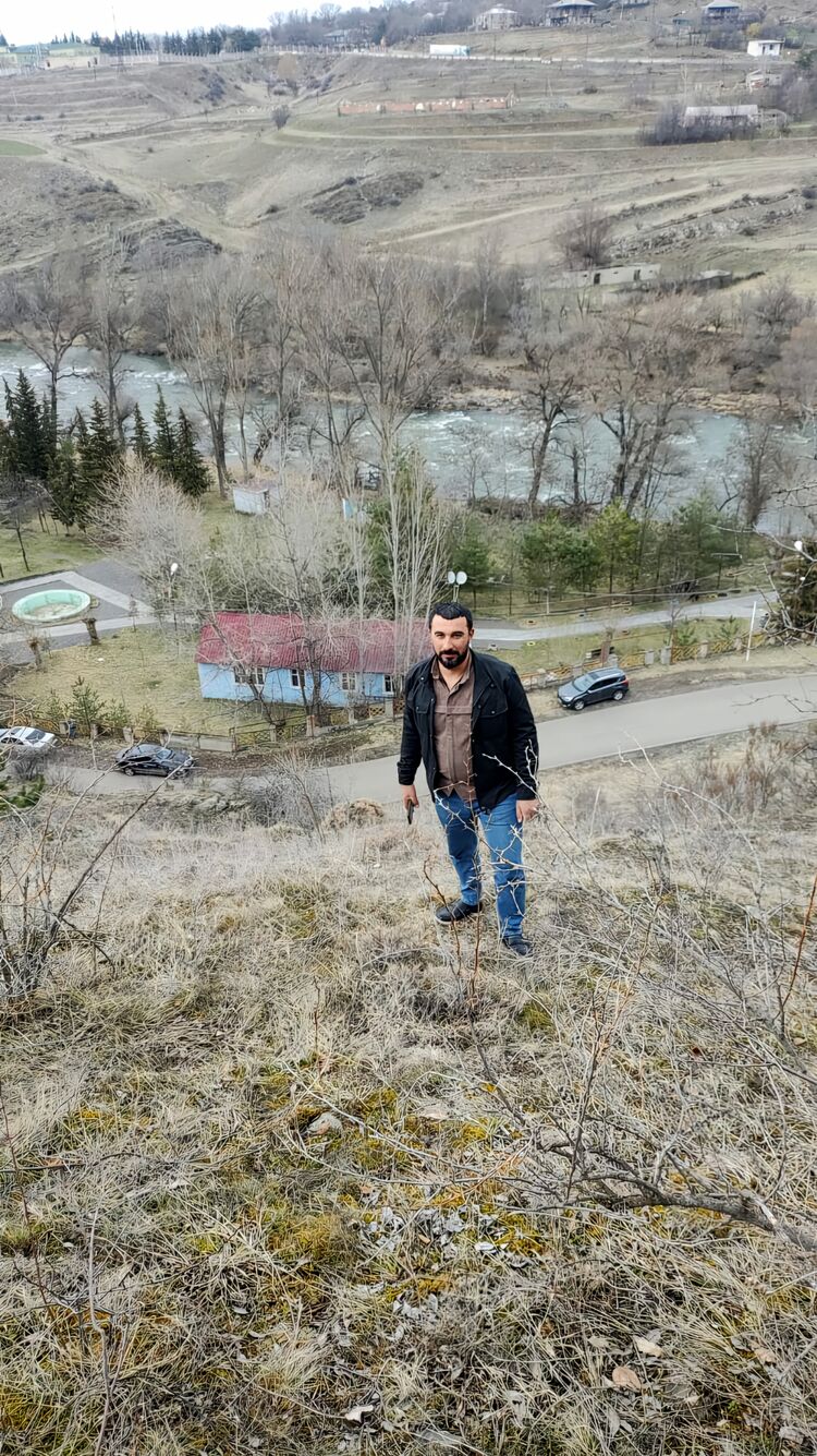  51384797  , 41 ,    -