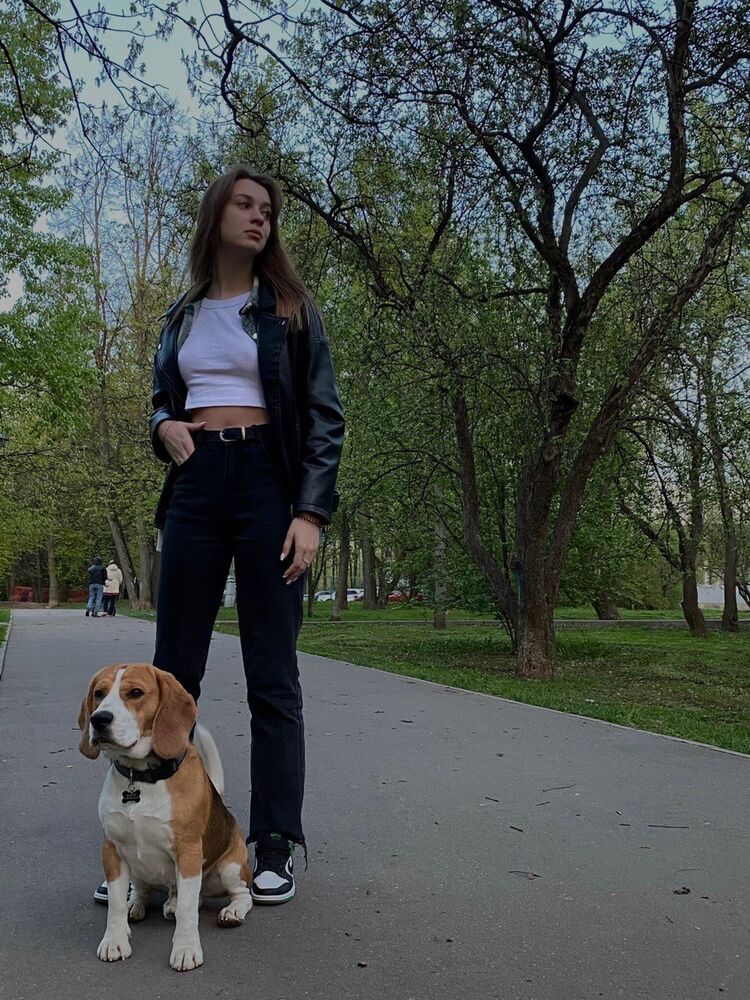 ���������� ������, ���� ������� ���������, 24 ����, ������������ ��� ������, ����� � ���������, ���������