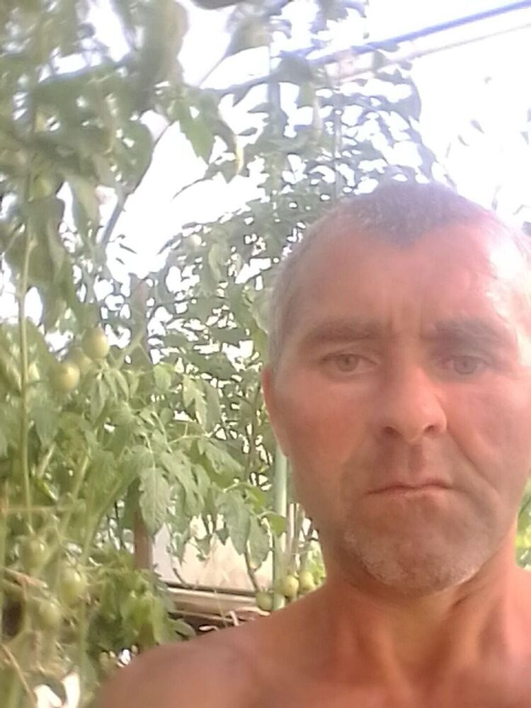  29663627  , 47 ,    