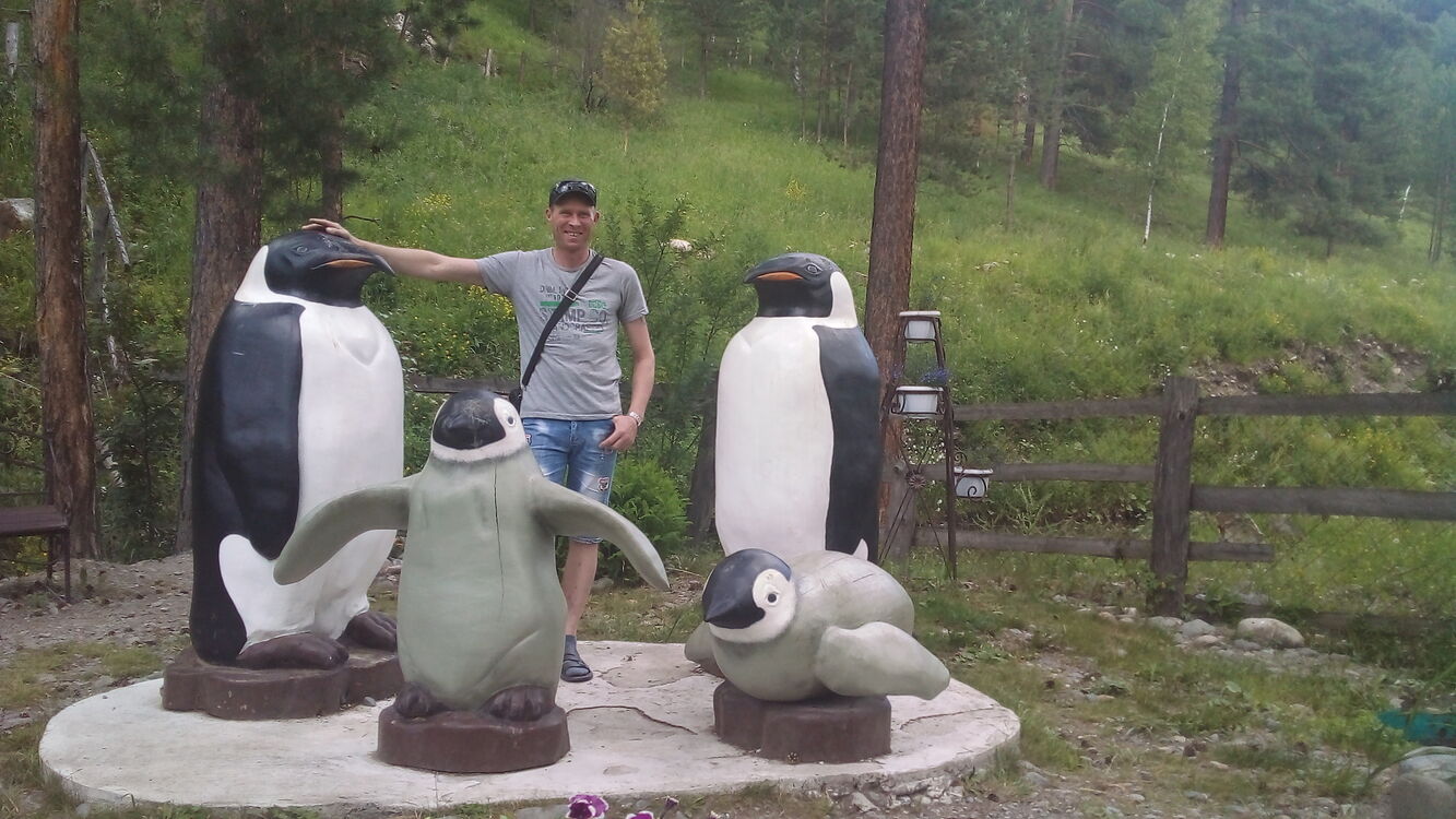 ���������� �������, ���� ������� ������, 38 ���, ������������ ��� ������, c�������� ���������, ���������