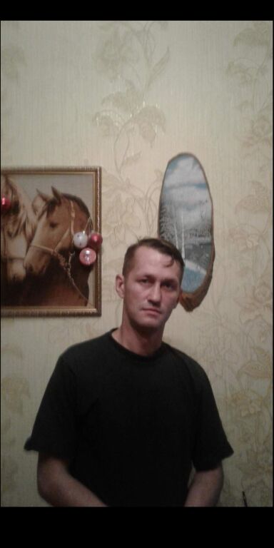  26303897  , 44 ,    