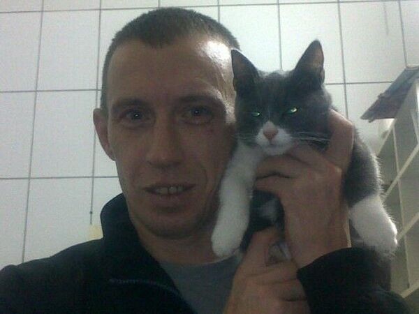  -,   , 53 ,   ,   , c 