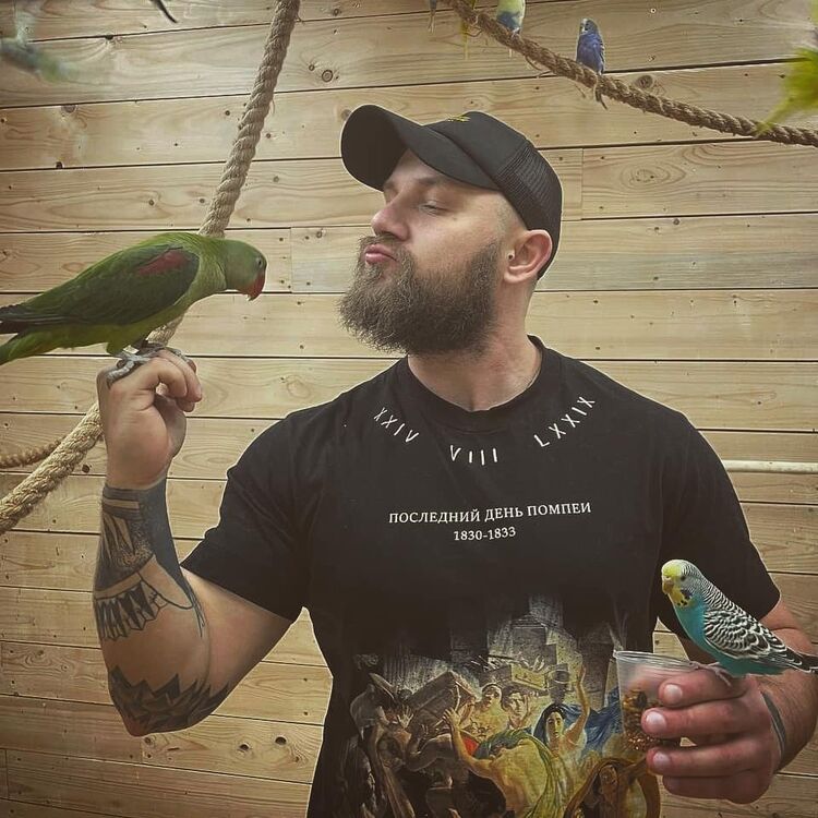 ���� 56106677 ������� ���������, 40 ���, ���� ���������� � ���������