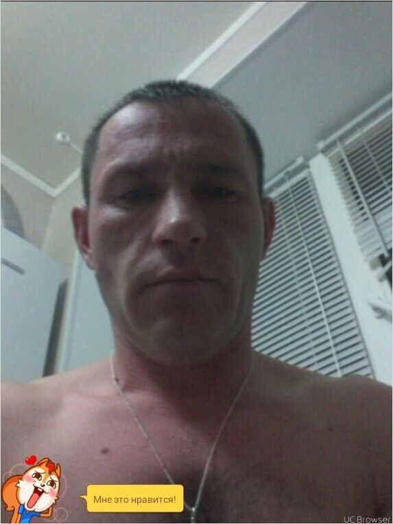  9868157  , 44 ,    