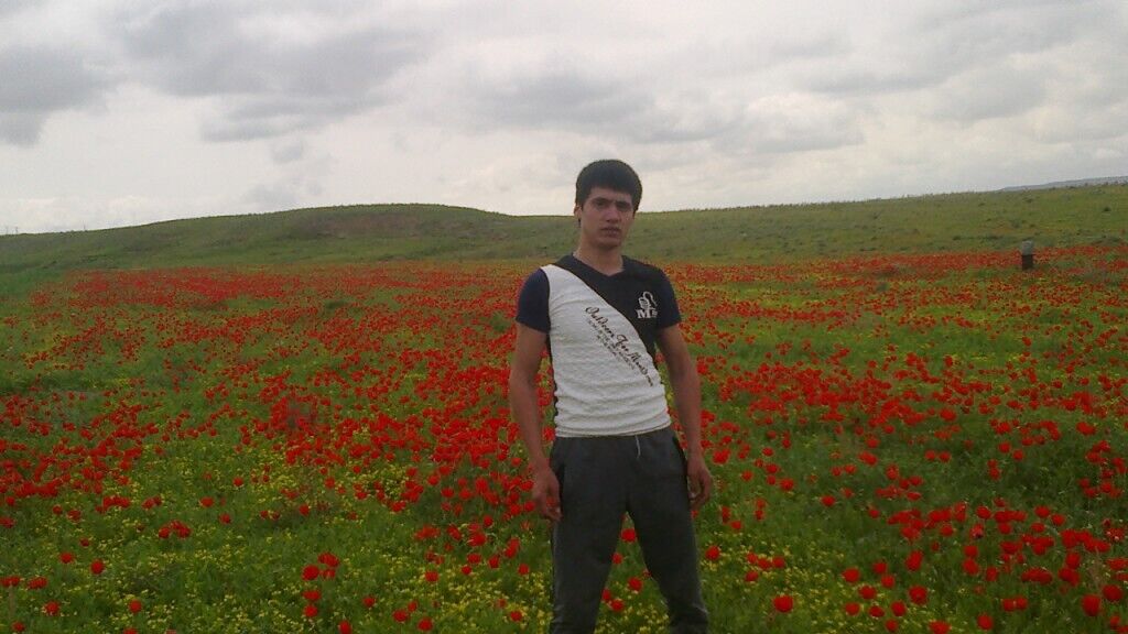 ���������� �������, ���� ������� ����, 33 ����, ������������ ��� ������, ����� � ���������, c�������� ���������, ���������