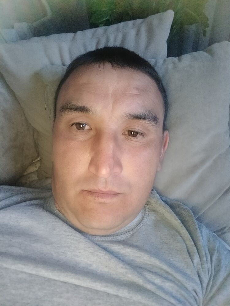  42222847  , 37 ,    -