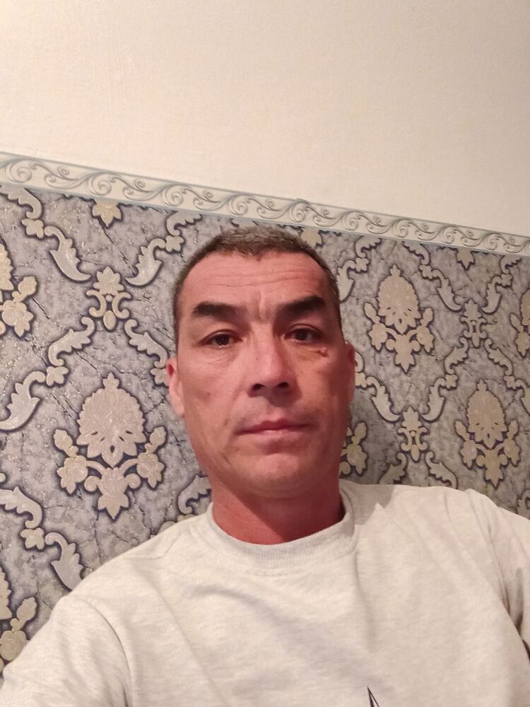  43187587  , 41 ,    