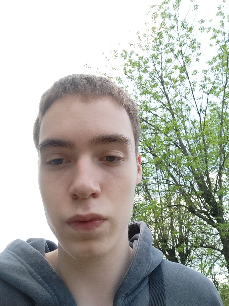  52675387  , 20 ,    -