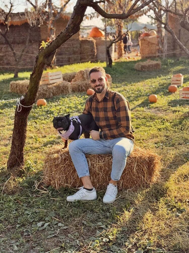 ���������� ��������, ���� ������� �������, 32 ����, ������������ ��� ������, ����� � ���������, c�������� ���������