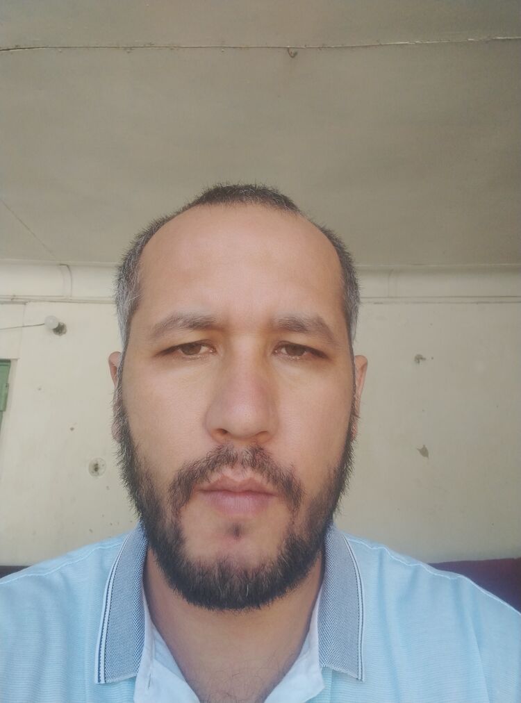  28444217  Boxodir, 41 ,    