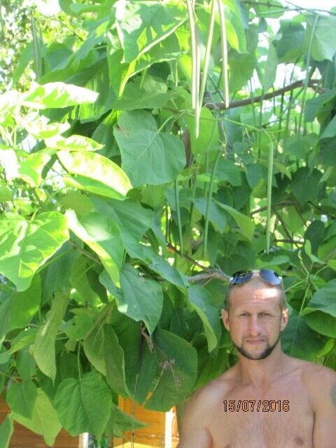  ,   Andrew, 44 ,   