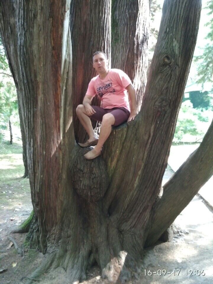 ���� 10997327 ������� �������, 46 ���, ���� ���������� � ����������