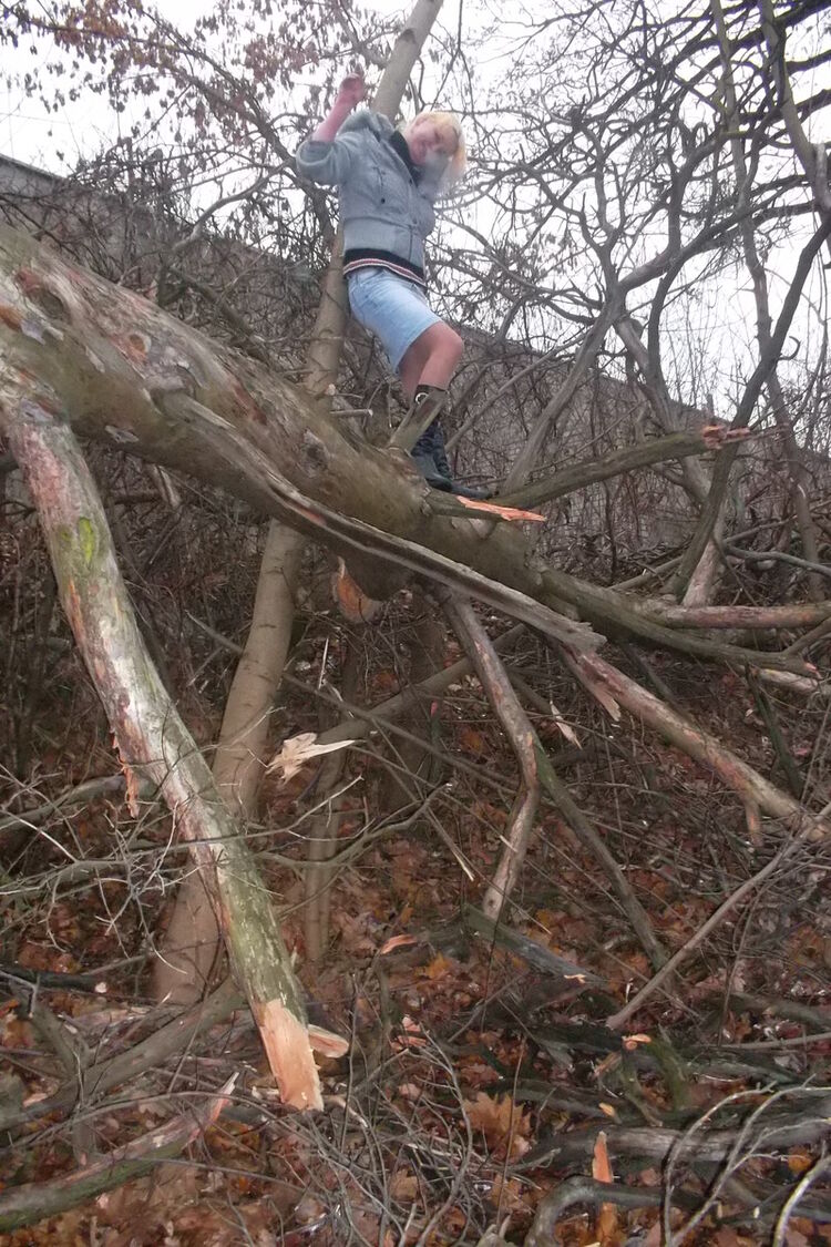 ���������� ����, ���� ������� ����, 38 ���, ������������ 