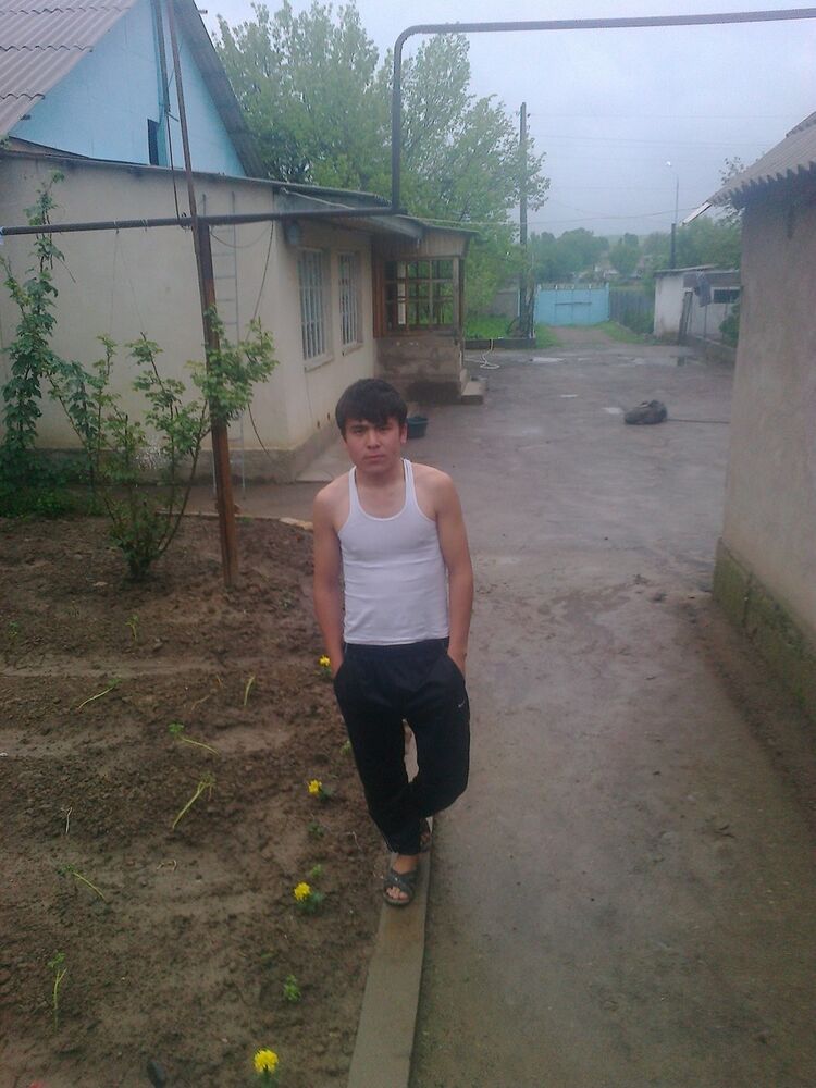  ,   87026969056, 31 ,   ,   , c , 