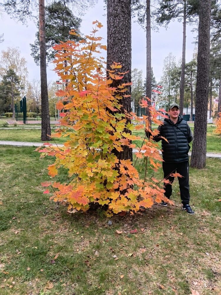 ���� 54468607 ������� �����, 39 ���, ���� ���������� � ������