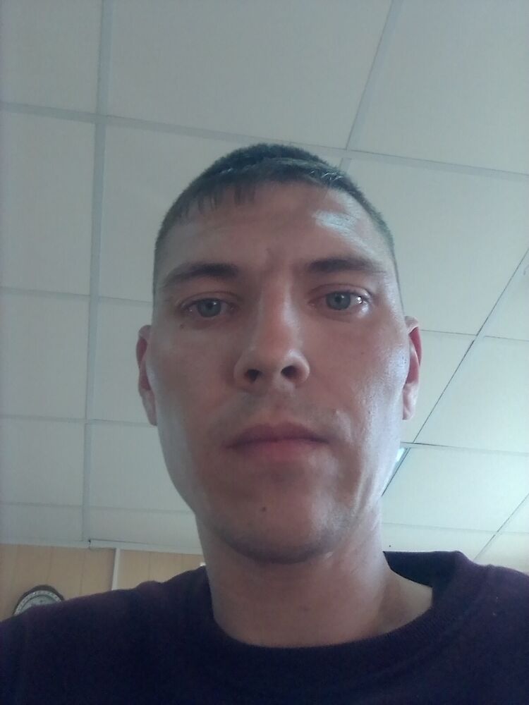  38772537  , 31 ,    