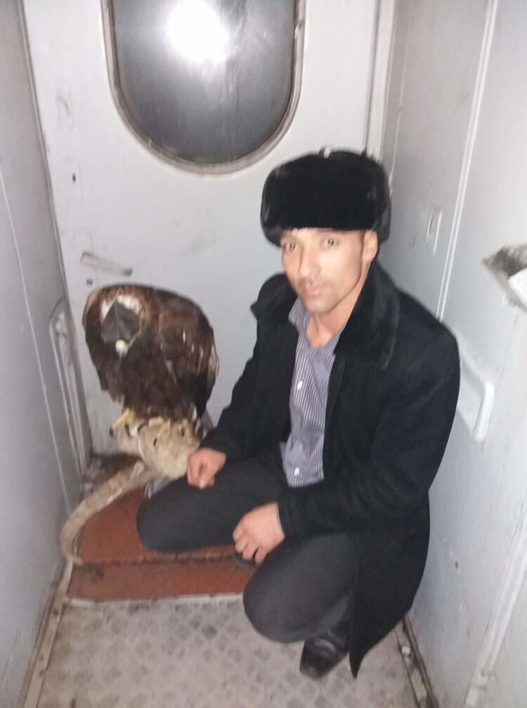 ���������� ����������, ���� ������� Parviz, 39 ���, ������������ ��� ������, ����� � ���������