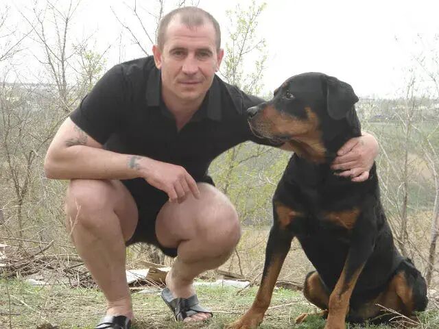 ���������� ���������, ���� ������� �������, 46 ���, ������������ ��� c�������� ���������, ���������