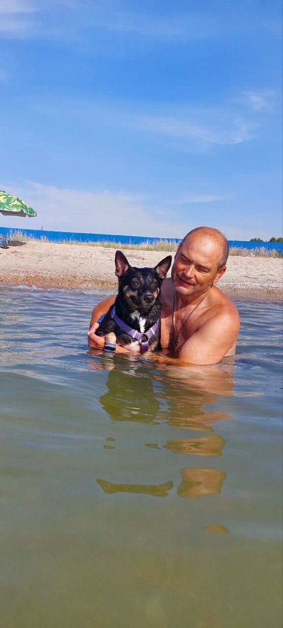 ���� 56046717 ������� ��������, 51 ���, ���� ���������� � �������