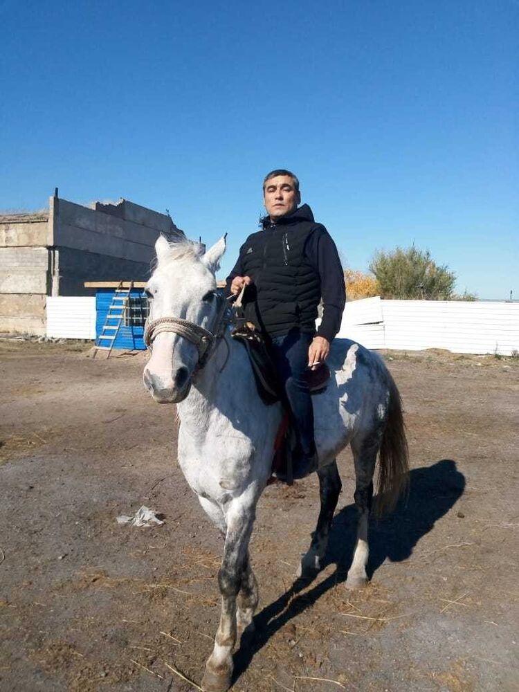 ���������� ������, ���� ������� �����, 49 ���, ������������ ��� ������, ����� � ���������, c�������� ���������