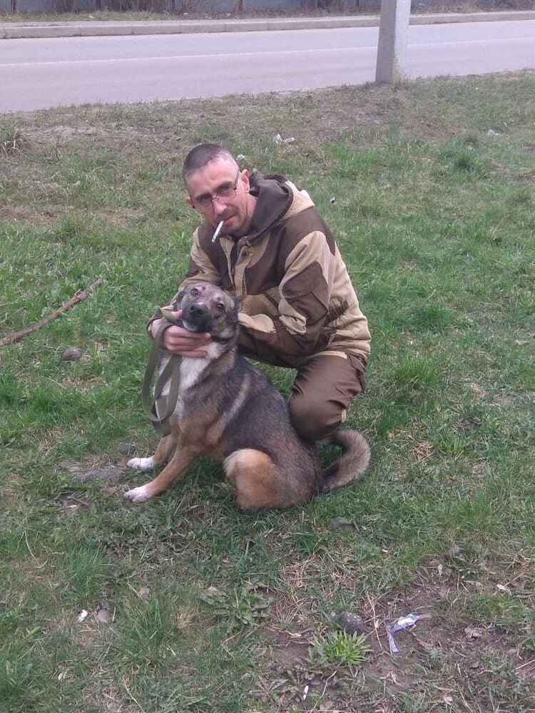 ���� 19568237 ������� �������, 44 ����, ���� ���������� � �������