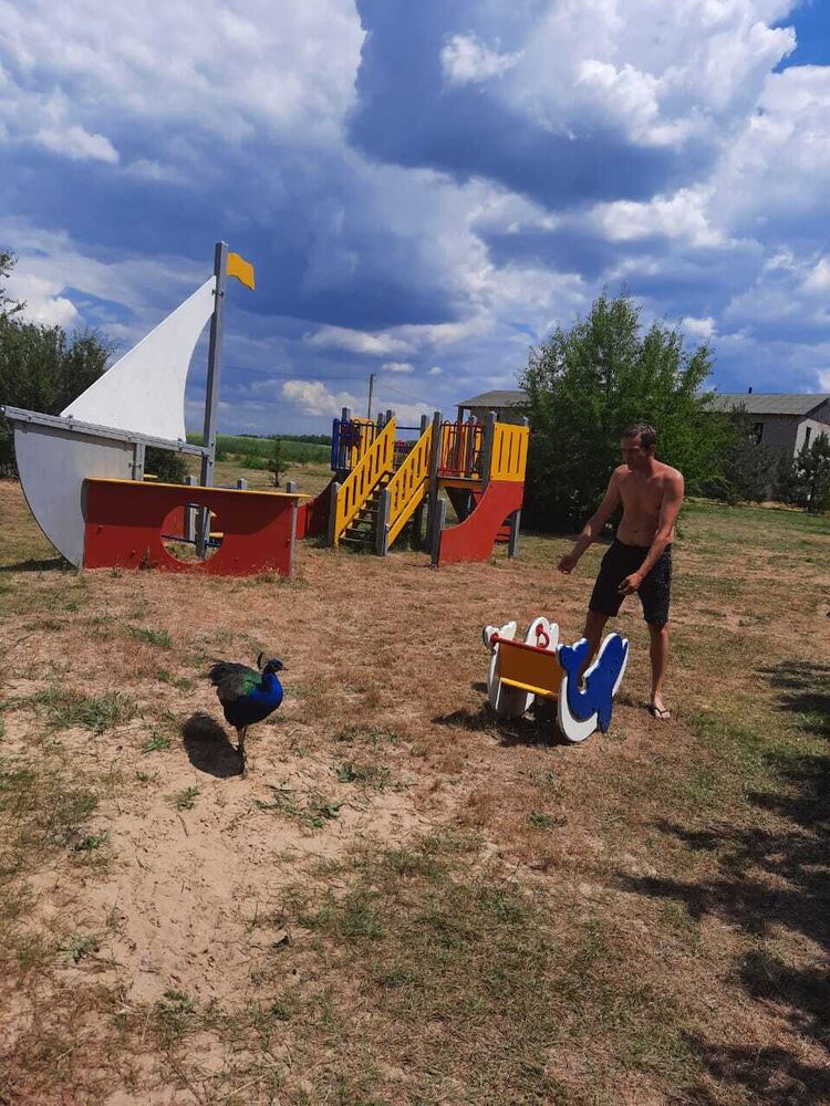  ,   , 40 ,   ,   