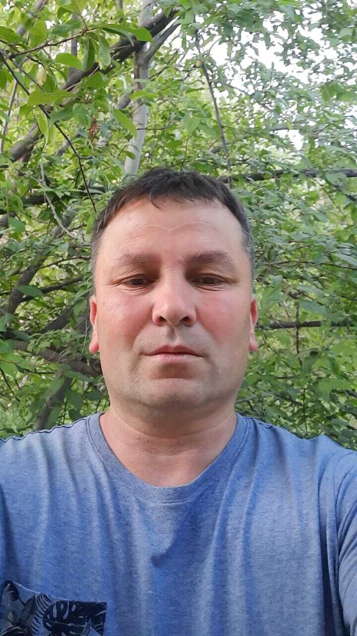  36083667  , 45 ,    