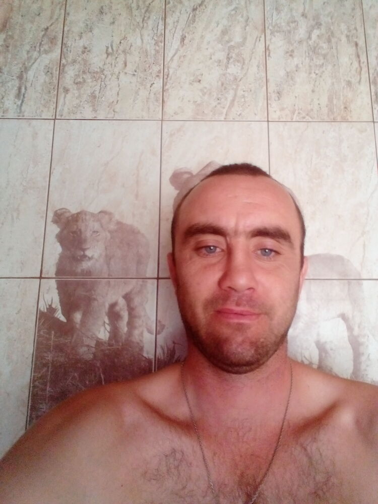 ���� 25655357 ������� ������, 36 ���, ���� ���������� � ���������