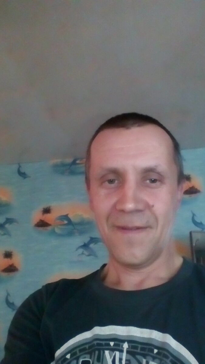  8397287  , 50 ,     
