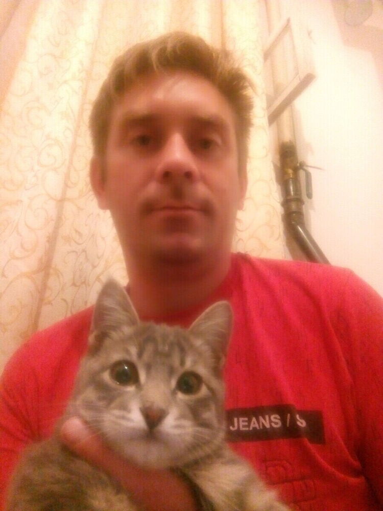  ,   , 34 ,  