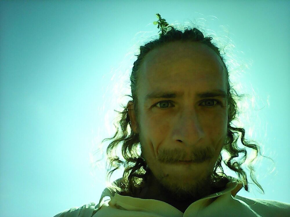 ���������� ������, ���� ������� �������, 37 ���, ������������ ��� ����� � ���������, c�������� ���������