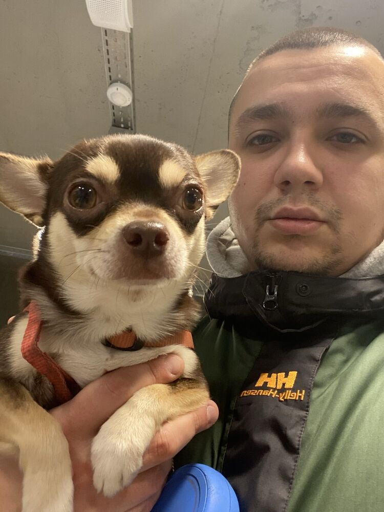 ���� 56052827 ������� ������, 33 ����, ���� ���������� � ������