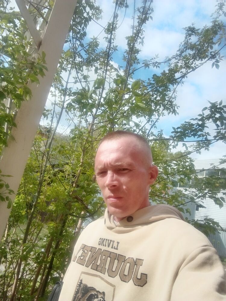  43411847  , 38 ,    