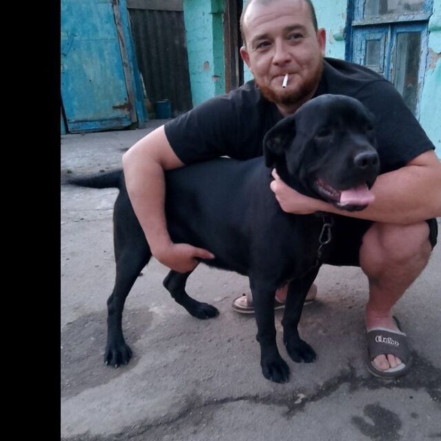  ,   , 41 ,     , c , 