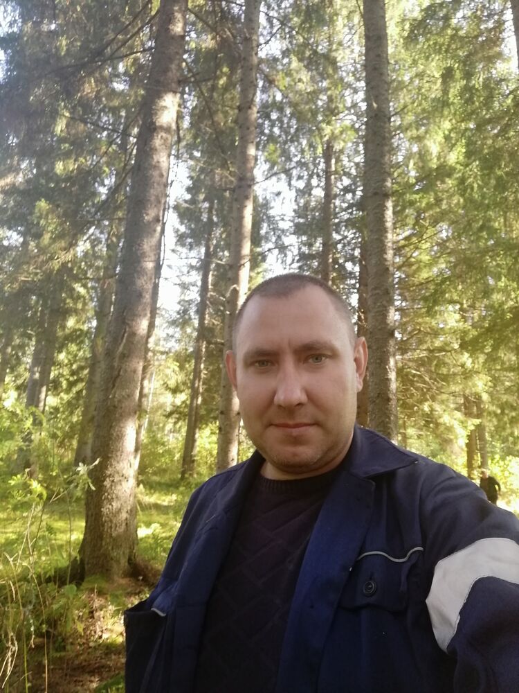 41005277  , 38 ,    