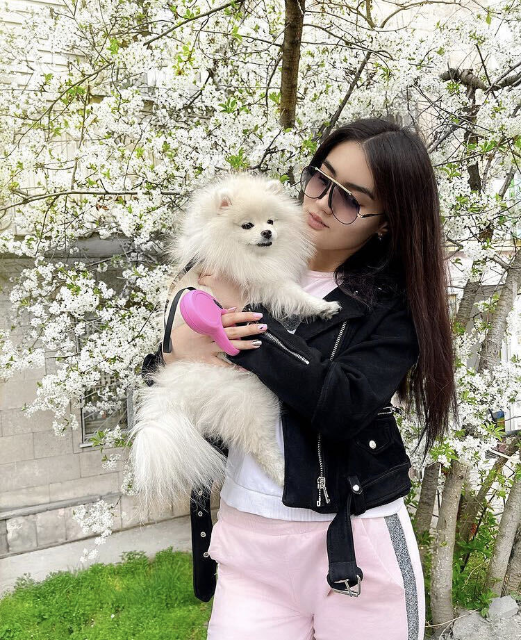 ���������� ������, ���� ������� Ilgana, 25 ���, ������������ ��� ������, ����� � ���������, ���������