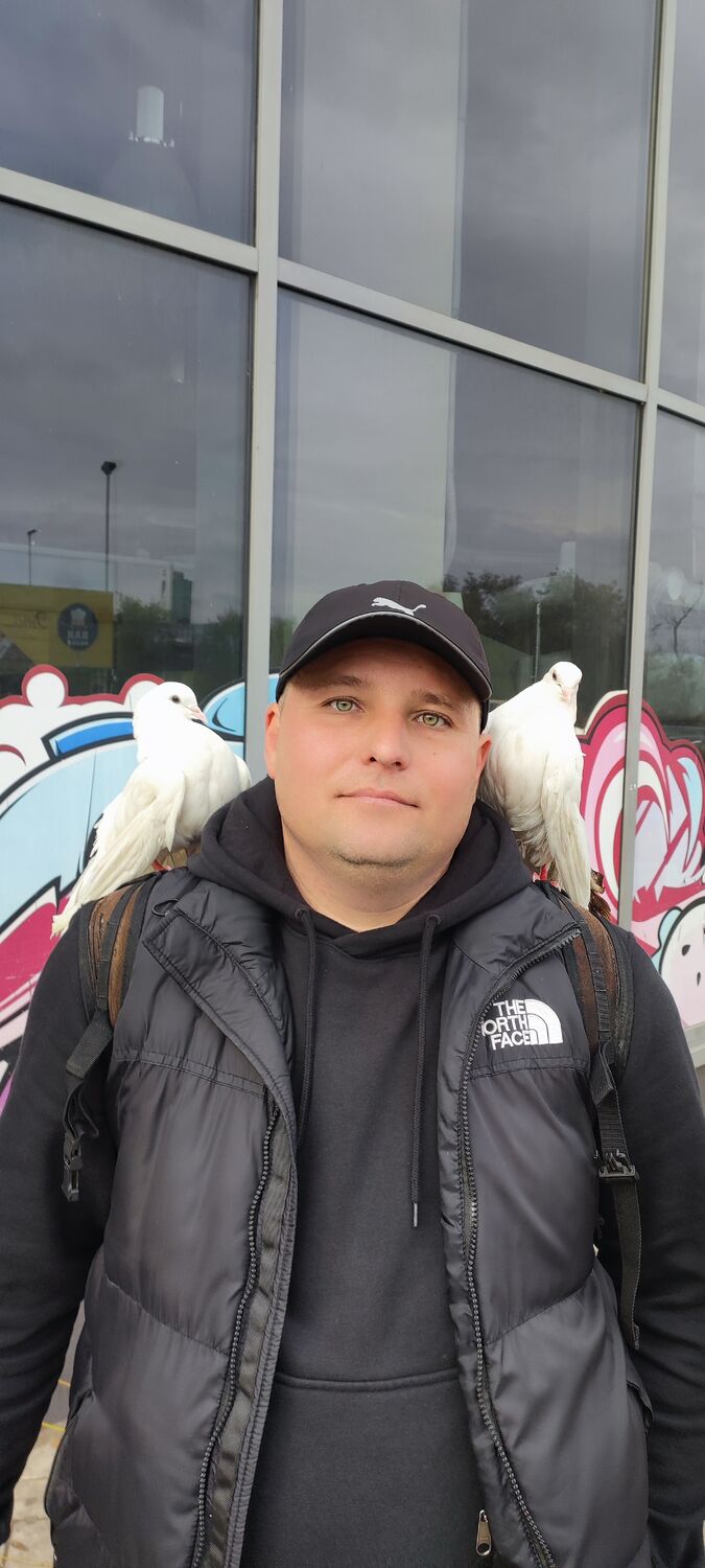 ���� 56057027 ������� �����, 42 ����, ���� ���������� � �������