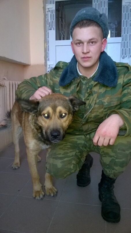 ���� 8836637 ������� �������, 33 ����, ���� ���������� � ������