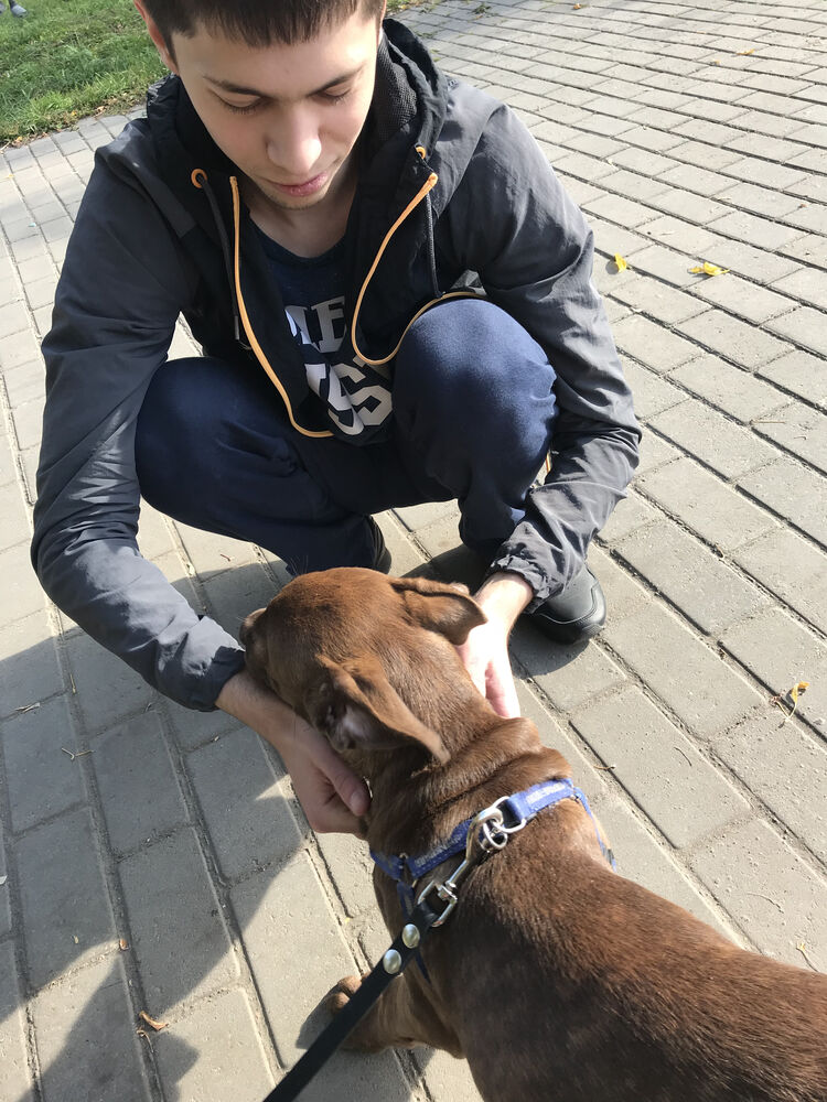 ���� 26376067 ������� ������, 27 ���, ���� ���������� � ������