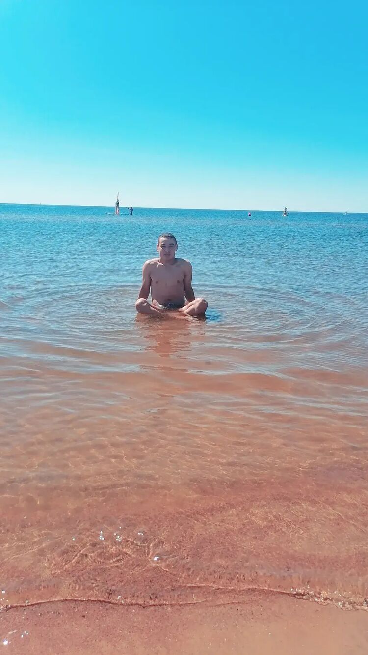  27066727  , 27 ,    -