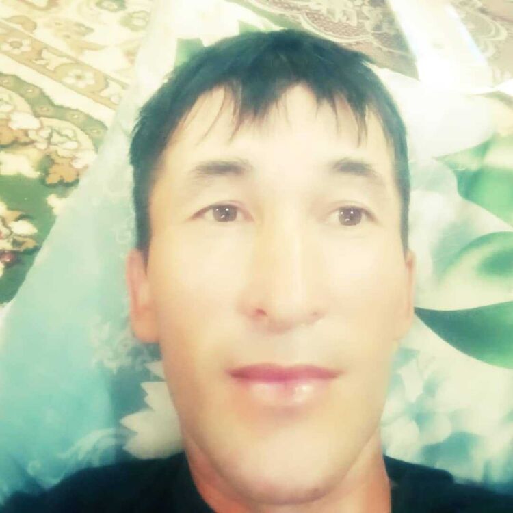  23091637  , 43 ,    