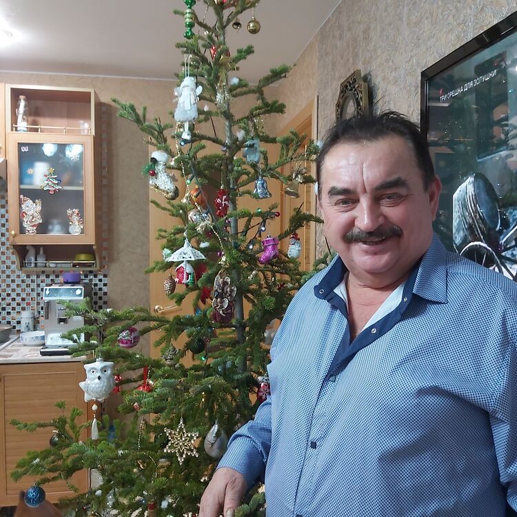 ���� 56104967 ������� ����, 68 ���, ���� ���������� � ������