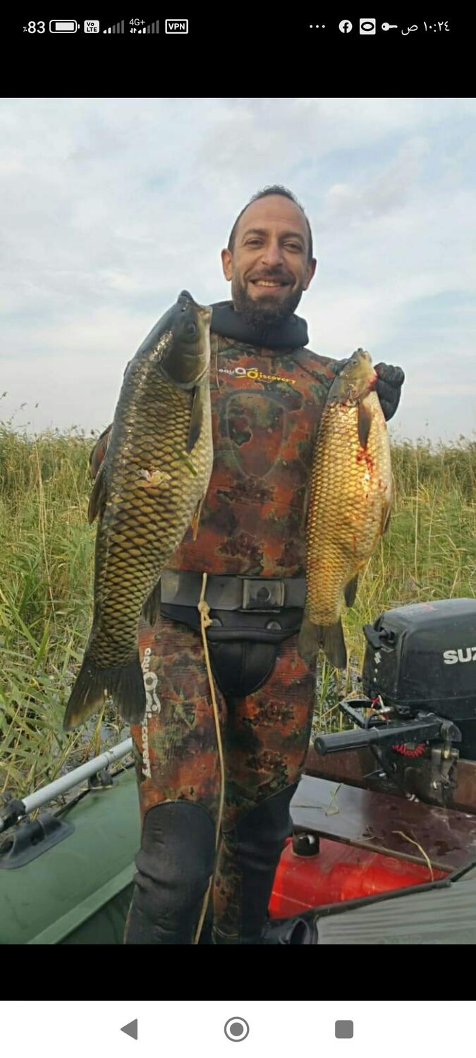  --,   , 40 ,   ,   