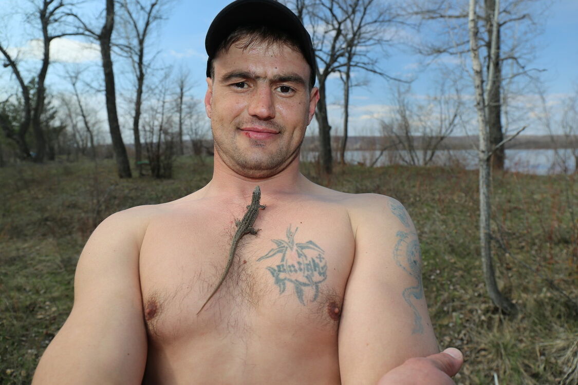  ,   , 44 ,  