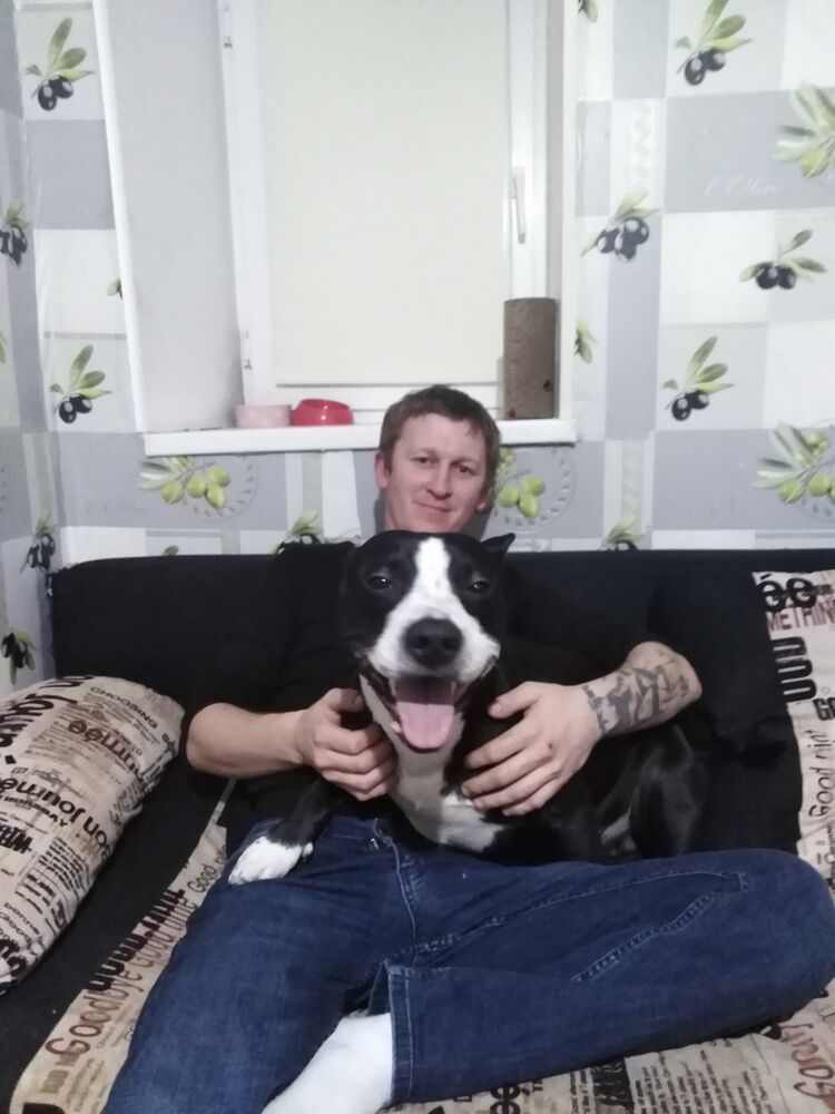 ���������� �������, ���� ������� ������, 41 ���, ������������ ��� ����� � ���������, c�������� ���������