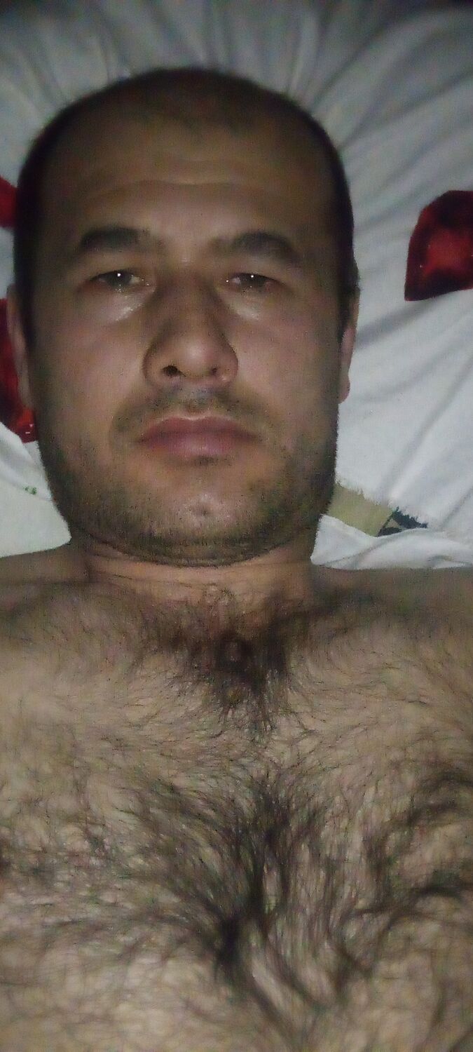  41258037  , 37 ,    