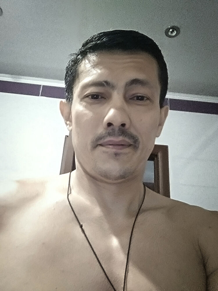  ,   Timur, 40 ,   ,   , c 