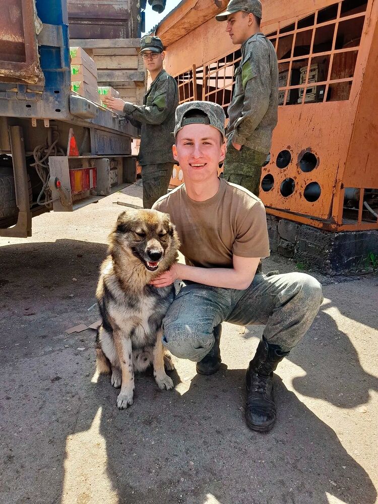 ���������� ������, ���� ����� ���������, 22 ����, ������������ ��� ������, ����� � ���������