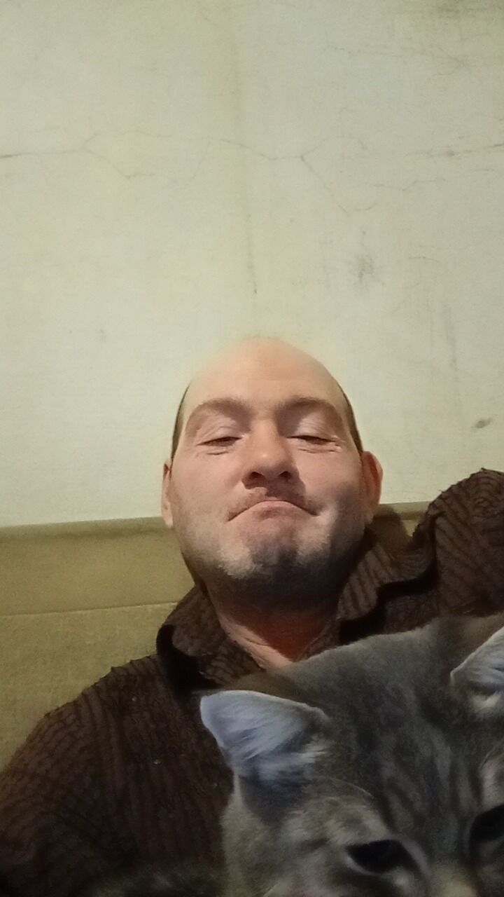  47279627  , 43 ,    