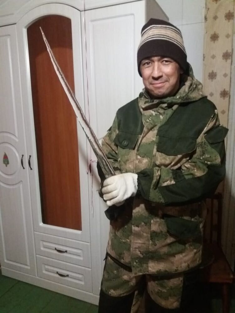  ,   , 46 ,   ,   